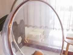 -猫爷宠物生活馆·撸猫馆