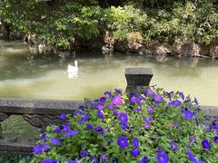 -兰亭风景区