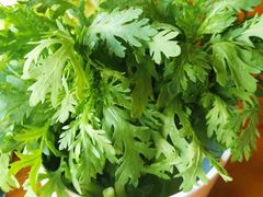 -老诚一锅羊蝎子(黄寺大街店)