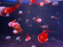 -欢乐海岸海洋奇梦馆