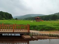 -塞罕坝国家级自然保护区