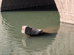 -七桥瓮公园
