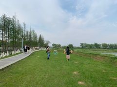 -瑶湖郊野森林公园