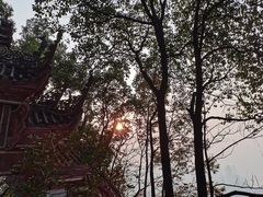 -南山植物园