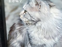 -M50创意园