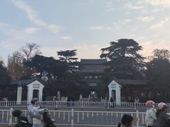 -镇淮楼