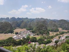 -八卦田遗址公园
