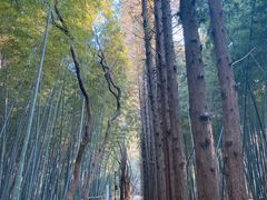 -同里国家湿地公园