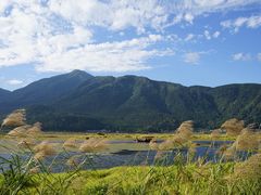 -腾冲北海湿地