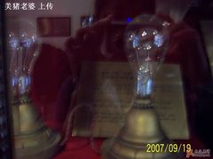 天津第一部电话；第一盏电灯-利顺德大饭店·维多利亚花园(小白楼店)