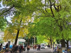 -四川大学(华西校区)