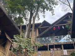 -西双版纳原始森林公园