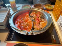 番茄寿喜鸳鸯锅-温禾牛·和牛寿喜烧自助火锅(恒基名人店)