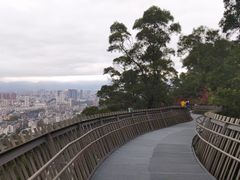 -福道