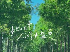 -上海海湾国家森林公园