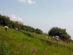 android_upload_pic-野三坡百草畔景区