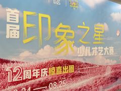 -佛山印象城(季华五路店)