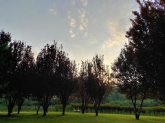-仁和公园(顺义区)