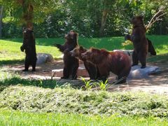 -北京野生动物园
