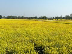 -中国天府农业博览园