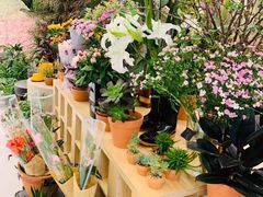 -PlantsEatery·植物食堂(REX春熙店)
