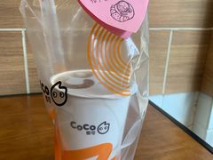 -CoCo都可(汇金大润发店)