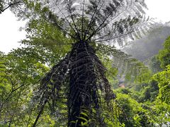 -赤水丹霞旅游区·佛光岩