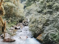 -西岭雪山大飞水景区