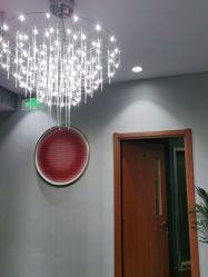 -卡尔诗·科技美肤连锁