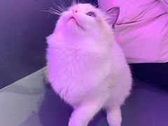-极木²邸 人与宠物·互动社区