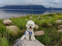 -黄山太平湖风景区