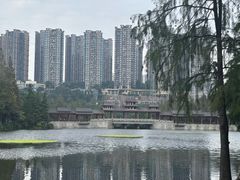 -重庆彩云湖湿地公园