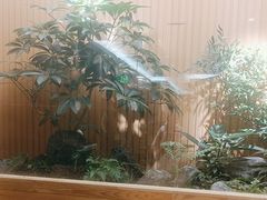 -老熟人烤肉城(马家堡店)