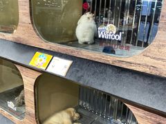 -宠物世家(仲盛世界商城店)