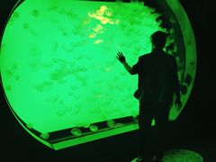 -沈阳海洋探索中心