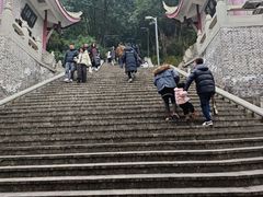 -成都老君山
