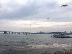 -星海广场