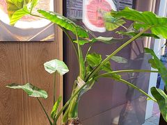-邵汇大虾火锅(鲁迅路店)