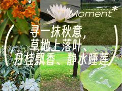 -西安浐灞国家湿地公园