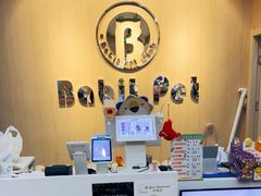 -BABIT巴比特宠物(MOMOPARK店)