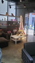 -Kraemer Paris  苏豪路易士·嘉玛发廊