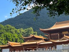 -深圳仙湖植物园