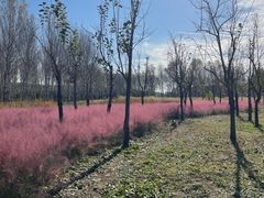 -东郊湿地公园