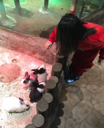 点击看大图 -宝燕乐园(闵行旗舰店)