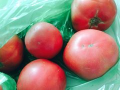 -上海市江桥批发市场经营管理有限公司-停车场