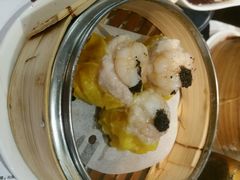 android_upload_pic-糖朝(尖沙咀店)