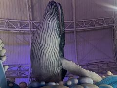 -烟台海昌鲸鲨海洋公园