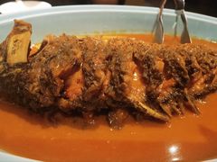 -阿五黄河大鲤鱼(纬三路店)