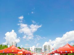 -上海第二工业大学(金海路校区)