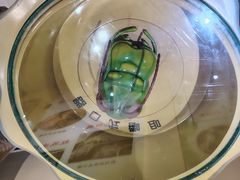 -上海昆虫博物馆